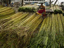 sugarcane-agencies