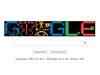 Arecibo Message: Google Doodle celebrates humankind's attempt to interact with interstellar beings