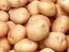 Top commodities in September: Potato, Silver