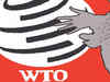 India asks WTO to set up panel against US for imposing high import duty on steel, aluminium