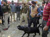 Amritsar grenade attack launched the way nabbed ISI-backed terrorist planned his own ops: Punjab cops