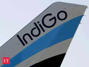 indigo--Agencies