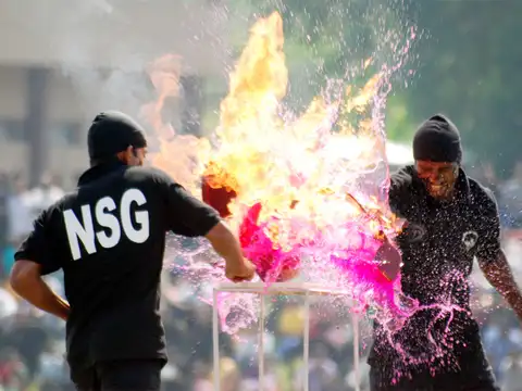 NSG- The last ones standing