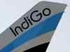 IndiGo revises web check-in charges after drawing social media flak