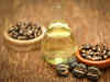 Buy castor seed in Rs 5,400-5,200 range