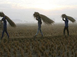 UP Govt Eases e-procurement Norms for Small Farmers