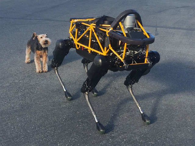 Robotic canines