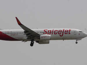 Spicejet-bccl