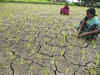 Maharashtra seeks Rs 7962.63 crore drought assistance from central govt