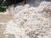 'Will raise cap on cotton exports if output exceeds'