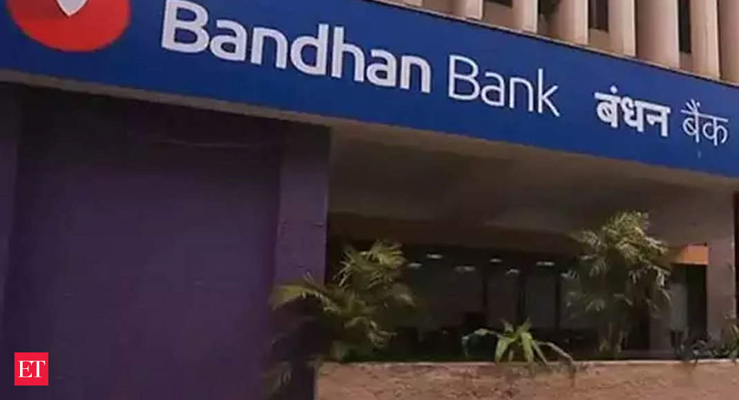Bandhan Bank39;s Rahul Johri, Prasanta Kumar Sahu quit to set up their own microfinance venture