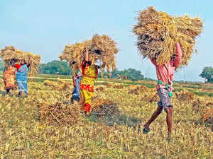 paddy-procurement-agencies