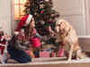Britons more likely to buy Christmas presents for pets than grandparents