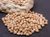 Agriwatch: Coriander, chana and castor dip in futures market