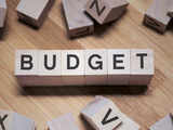 What is an Interim Budget?