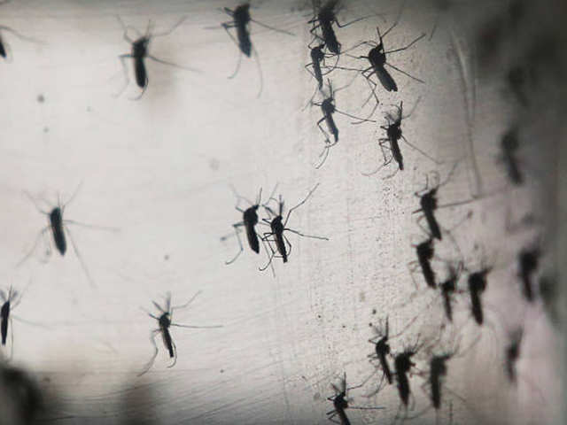 Mosquito-packed drones fighting Zika