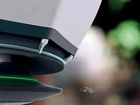 Bee2Bee, By Julian Schwarze