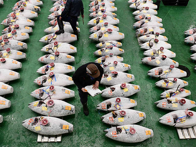 World's biggest fish market