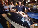 Tuna sells for record $3.1 mn in auction in Japan