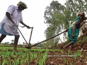 Maha-farmers
