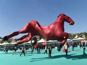 See how the world graces Gujarat Kite Festival