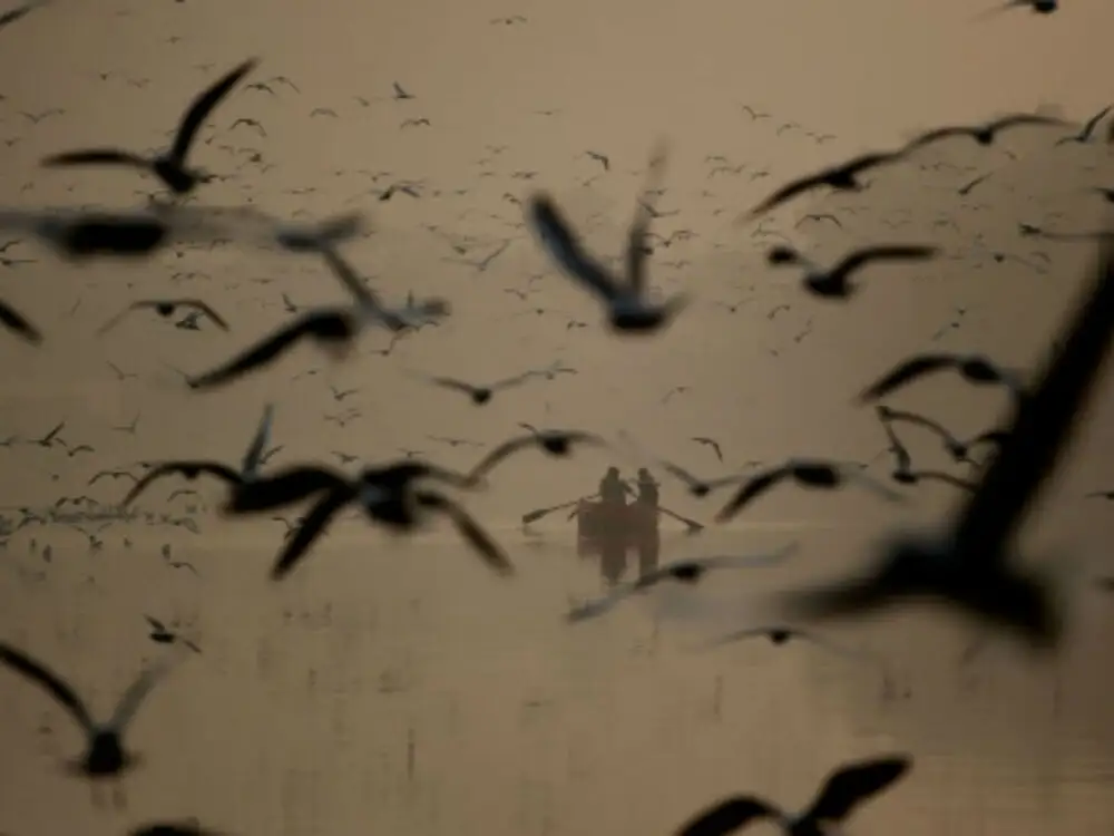 Environment News - cover