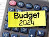 How is the budget prepared and what will happen this year?