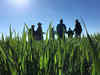 NCDEX wants more interest in soya, wheat