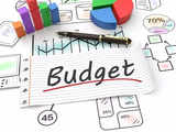 Why is it important for the govt to have a budget?