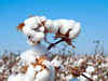Cotton spinners record healthy recovery in profits as export demand surges