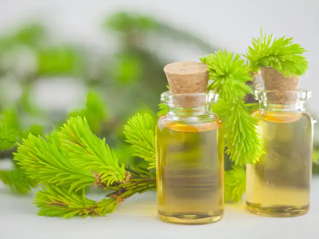 An Apple Cider Detox - Washing Isn't Enough: 6 Expert-Recommended Tips ...