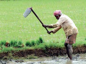 Farmers-bccl3