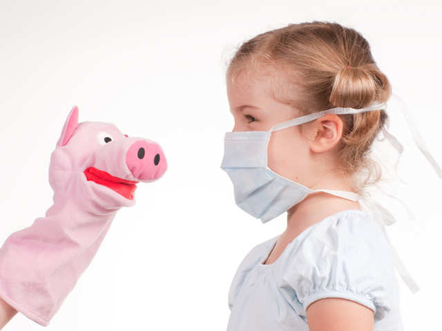 Myth: Swine Flu Is Transmitted Through Pigs