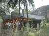 Nirav Modi's Alibaug mansion to be demolished following Bombay HC order