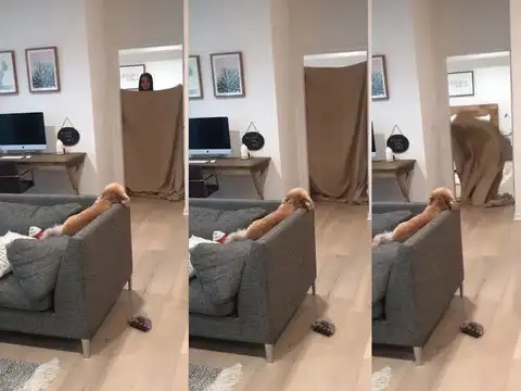 #FluffChallenge