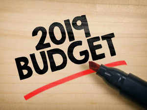 2019-Budget