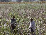 Farmers owning land of up to 2 hectares to get Rs 6,000 a year 1 80:Image