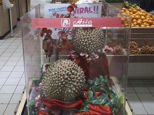 J-Queen Durians Sell for $1,000 in Indonesia Durians