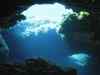 Climate change threatening underwater forests: Study