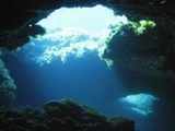 Climate change threatening underwater forests: Study