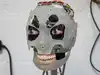 Human features