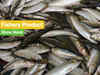IIT-Kharagpur develops fodder to make fish tastier