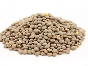 lentils-et
