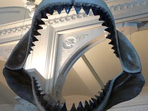 Extinct long before sea cows and porpoises