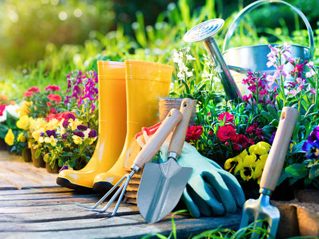 Gardening, singing & reading can keep your mind active, and lower dementia risk