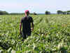 Emerging Markets accuse US of giving higher subsidy to farmers
