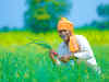 20 million farmers listed so far for PM-KISAN dole
