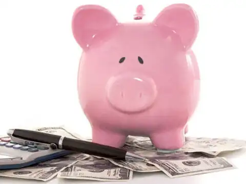 5. National Savings Certificates