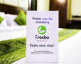Steady funding can save Treebo
