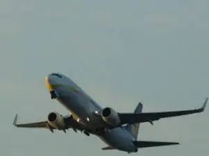 Flights